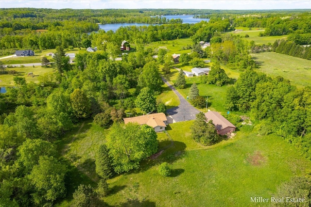 4700 M-79, Nashville, MI 49073 - bird's eye view of a large body of water and a forest