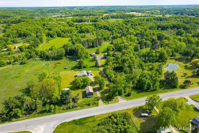 4700 M-79, Nashville, MI 49073 - bird's eye view of a forest