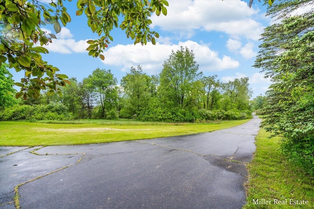 4700 M-79, Nashville, MI 49073 - view of asphalt road