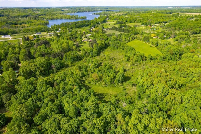 4700 M-79, Nashville, MI 49073 - bird's eye view of a forest and a nearby body of water