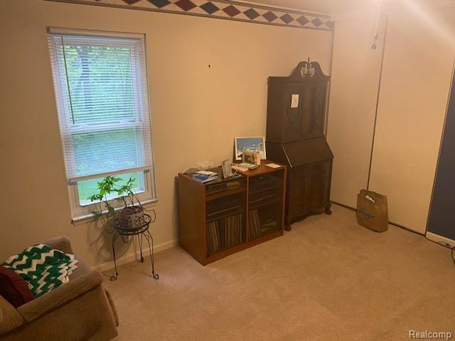 28532 Perryville Way, Farmington Hills, MI 48331 - detailed view of carpet and baseboards