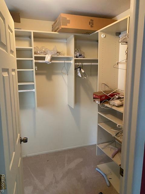 28532 Perryville Way, Farmington Hills, MI 48331 - walk in closet with carpet