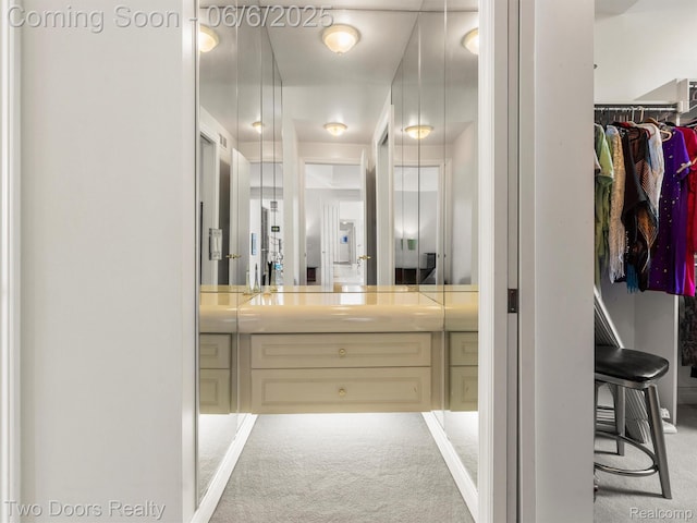 532 Shrewsbury Dr, Clarkston, MI 48348 - bathroom with vanity and a walk in closet