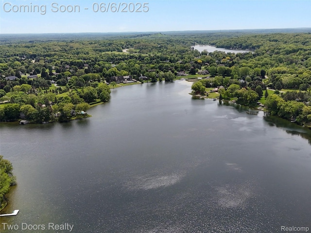 532 Shrewsbury Dr, Clarkston, MI 48348 - bird's eye view of a large body of water and a forest