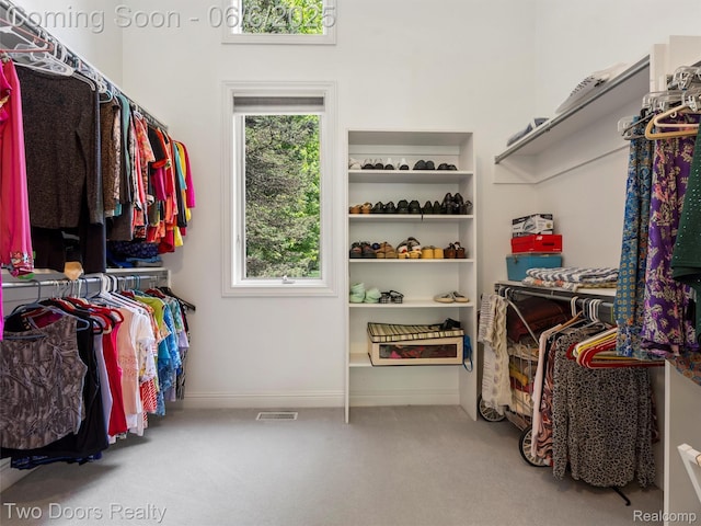 532 Shrewsbury Dr, Clarkston, MI 48348 - walk in closet featuring carpet