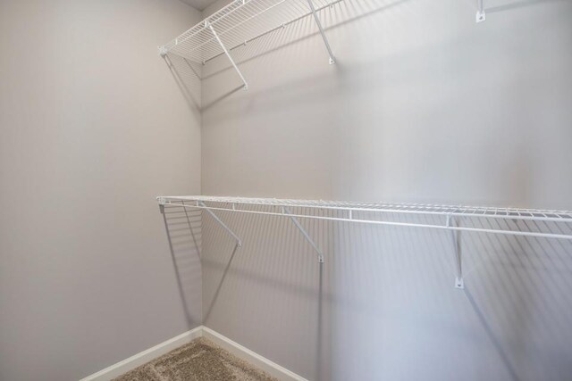 531 Snow Pine Ct NE, Cedar Springs, MI 49319 - photo 13