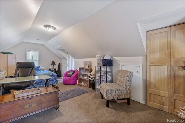 13902 Toepfer Rd, Warren, MI 48089 - home office with carpet flooring and vaulted ceiling