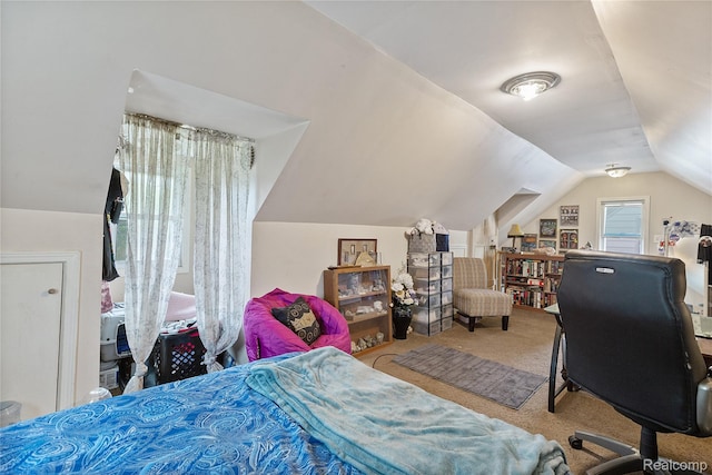 13902 Toepfer Rd, Warren, MI 48089 - bedroom featuring lofted ceiling and carpet