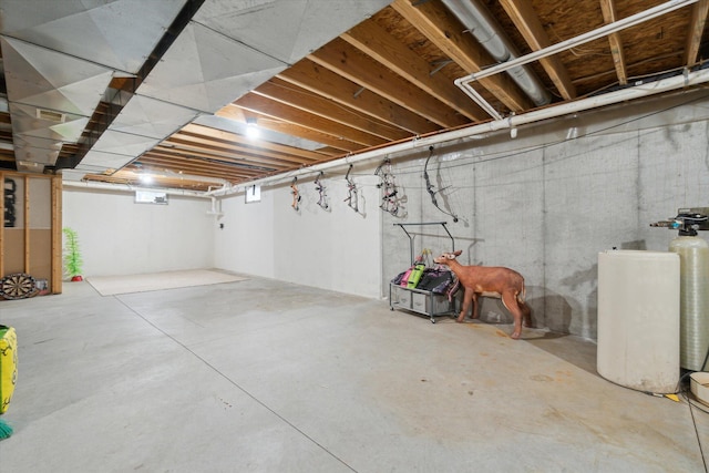 123 N F St, Trufant, MI 49347 - unfinished basement with a water softener system