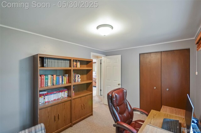 13936 Grove Park Dr, Sterling Heights, MI 48313 - office area featuring light carpet and ornamental molding
