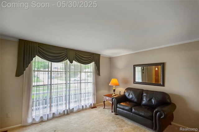 13936 Grove Park Dr, Sterling Heights, MI 48313 - carpeted living room with crown molding and baseboards