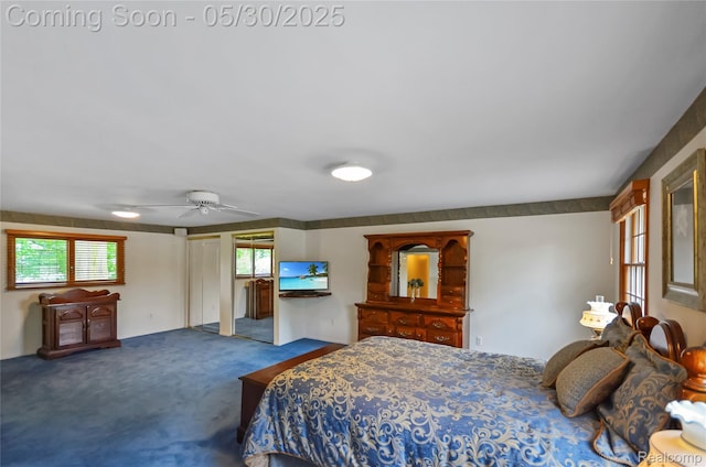 13936 Grove Park Dr, Sterling Heights, MI 48313 - carpeted bedroom featuring multiple windows and ceiling fan