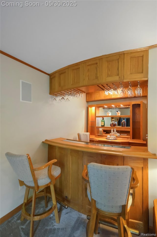13936 Grove Park Dr, Sterling Heights, MI 48313 - indoor dry bar featuring ornamental molding, carpet, and baseboards