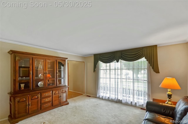13936 Grove Park Dr, Sterling Heights, MI 48313 - living room featuring ornamental molding, carpet floors, and baseboards