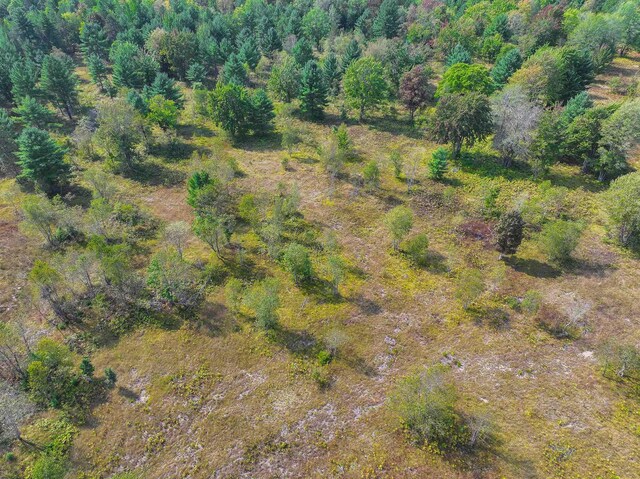 OFF W Kalkaska Rd NW, Kalkaska, MI 49646