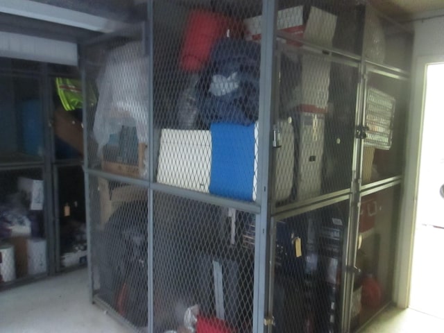 1531 Packard St Unit 2, Ann Arbor, MI 48104 - view of storage room