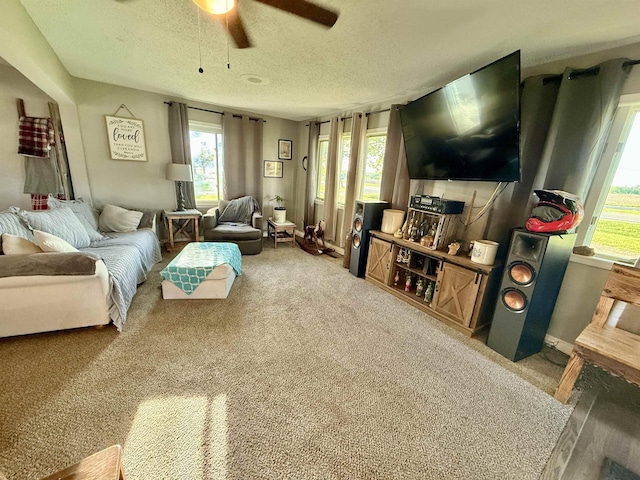 5547 Davison Rd, Davison, MI 48446 - living area with ceiling fan, carpet, and a textured ceiling