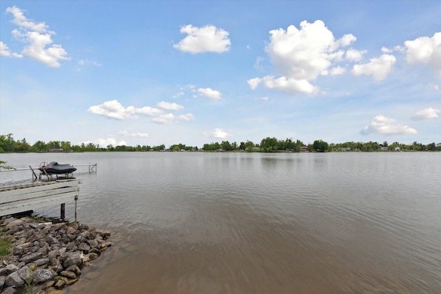 14814 Lark Dr, Camden, MI 49232 - water view with a dock