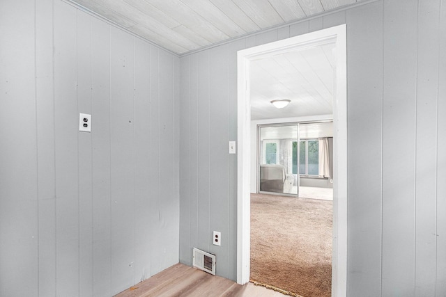 12948 Sandyside Dr, Gowen, MI 49326 - empty room with light wood-style floors and wood walls