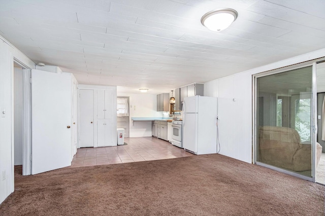 12948 Sandyside Dr, Gowen, MI 49326 - unfurnished living room featuring light carpet and light tile patterned floors