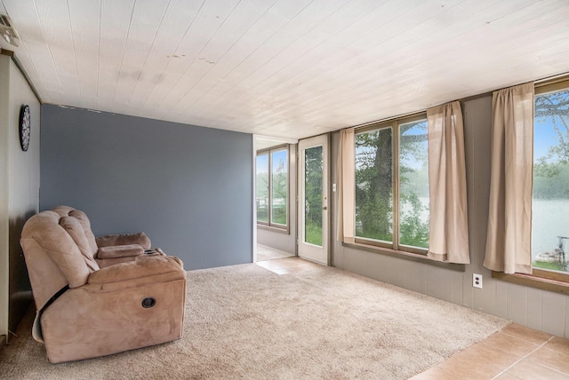 12948 Sandyside Dr, Gowen, MI 49326 - unfurnished room featuring plenty of natural light and wood ceiling