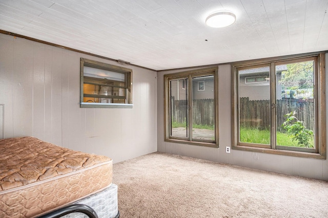12948 Sandyside Dr, Gowen, MI 49326 - unfurnished bedroom featuring carpet floors and wood walls