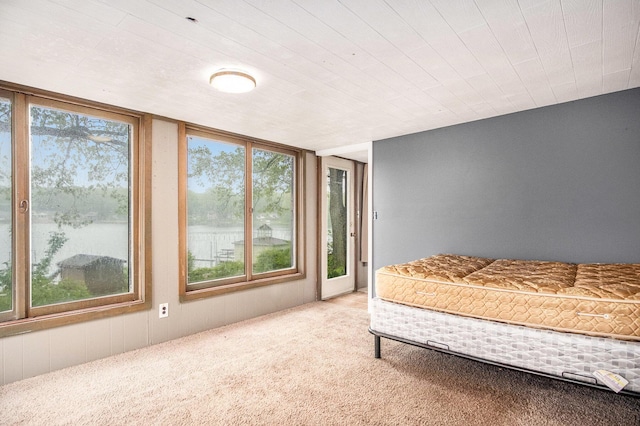 12948 Sandyside Dr, Gowen, MI 49326 - unfurnished bedroom featuring multiple windows, carpet, and a water view
