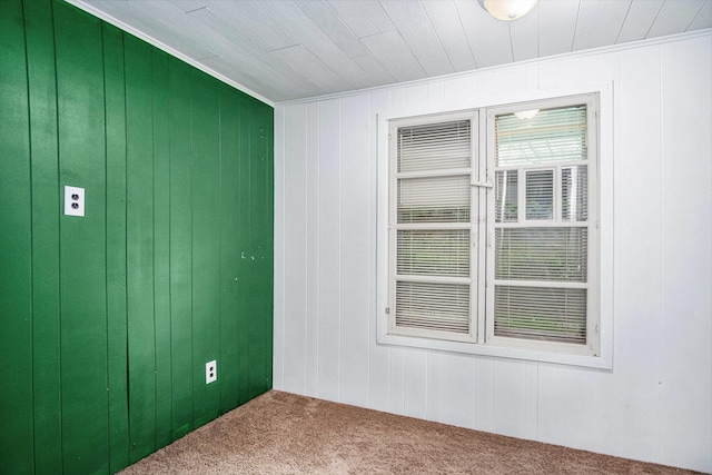 12948 Sandyside Dr, Gowen, MI 49326 - carpeted spare room with wood walls