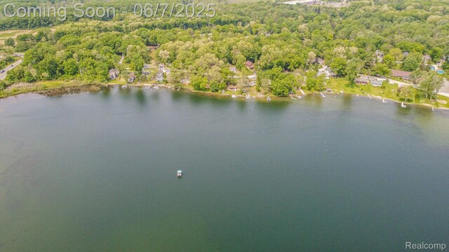 6288 Buckshore Dr, Whitmore Lake, MI 48189 - aerial overview of property's location featuring a large body of water and a heavily wooded area