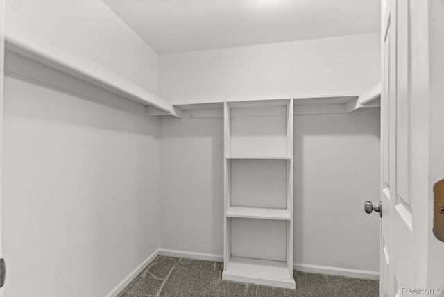 4766 Quarton Rd, Bloomfield, MI 48302 - spacious closet with carpet floors