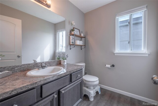 13109 River Rock Pass, Linden, MI 48451 - bathroom featuring wood finished floors, vanity, toilet, and baseboards