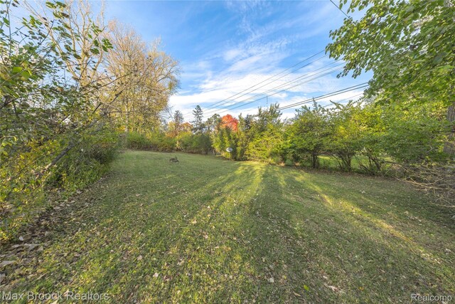 28290 Inkster Rd, Southfield, MI 48034 - view of grassy yard