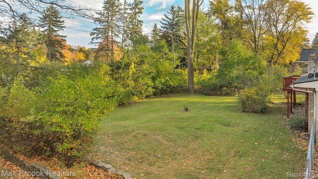 28290 Inkster Rd, Southfield, MI 48034 - view of yard