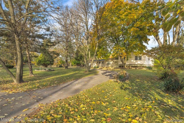 28290 Inkster Rd, Southfield, MI 48034 - view of asphalt driveway
