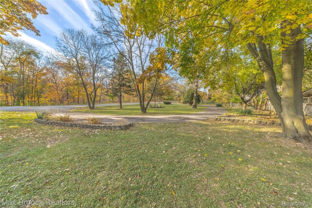 28290 Inkster Rd, Southfield, MI 48034 - view of grassy yard