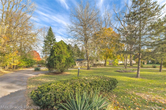 28290 Inkster Rd, Southfield, MI 48034 - view of property's community featuring a lawn