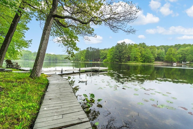 5400 Laura Dr, Shelbyville, MI 49344 - dock with a water view and a wooded view