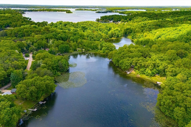 5400 Laura Dr, Shelbyville, MI 49344 - view of property location featuring a forest and a nearby body of water