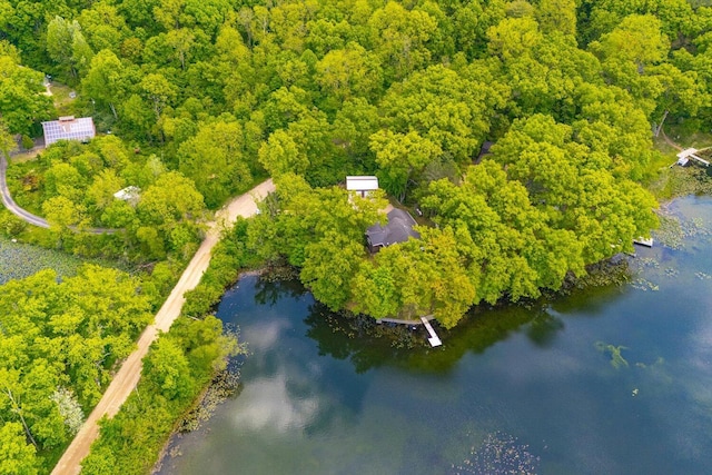 5400 Laura Dr, Shelbyville, MI 49344 - aerial view of a nearby body of water and a heavily wooded area