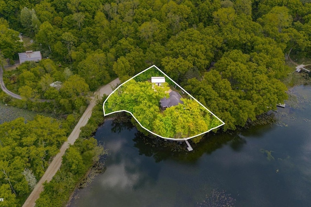 5400 Laura Dr, Shelbyville, MI 49344 - aerial view of property's location featuring a heavily wooded area, a large body of water, and property boundaries highlighted