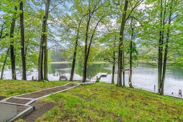 5400 Laura Dr, Shelbyville, MI 49344 - water view featuring a dock