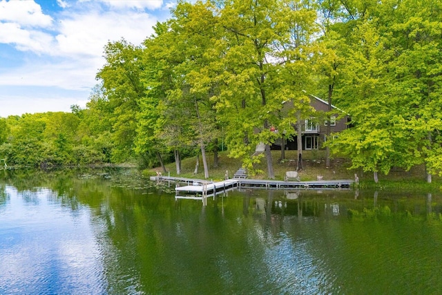 5400 Laura Dr, Shelbyville, MI 49344 - dock with a water view and a view of trees