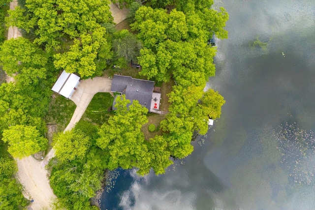 5400 Laura Dr, Shelbyville, MI 49344 - view from above of property with a nearby body of water