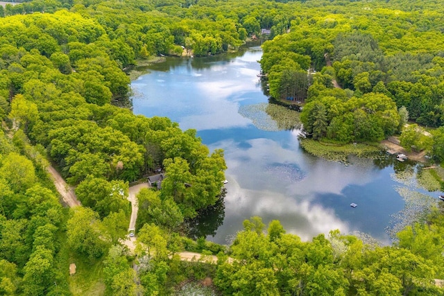 5400 Laura Dr, Shelbyville, MI 49344 - bird's eye view of a heavily wooded area and a large body of water