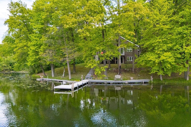5400 Laura Dr, Shelbyville, MI 49344 - dock with a water view