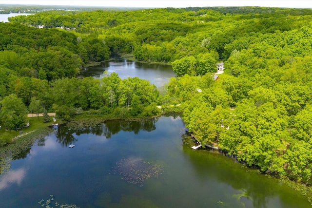5400 Laura Dr, Shelbyville, MI 49344 - aerial view of a forest and a large body of water
