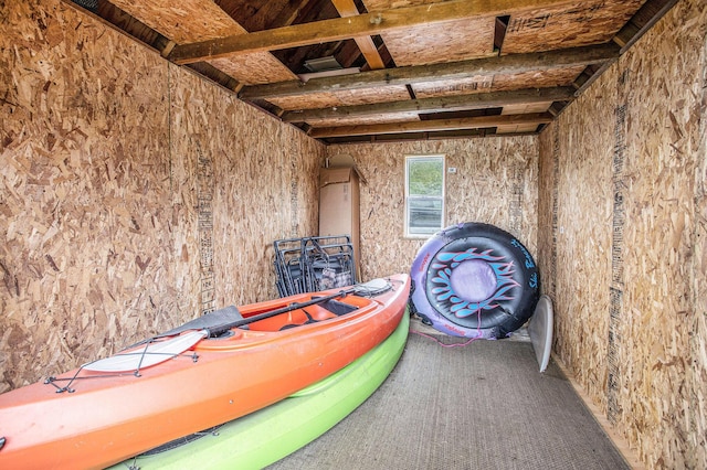 3050 Thorpe Dr, Delton, MI 49046 - view of storage room