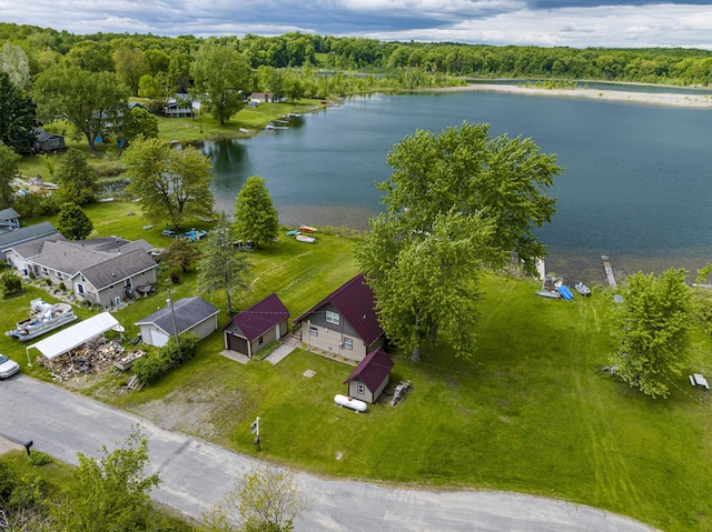 3050 Thorpe Dr, Delton, MI 49046 - bird's eye view of a large body of water and a heavily wooded area