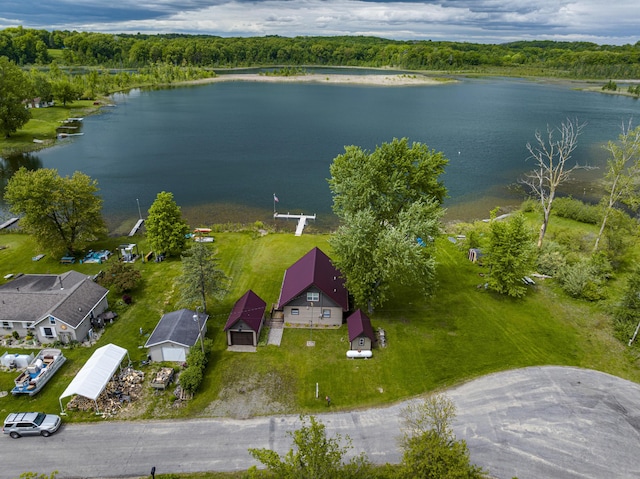 3050 Thorpe Dr, Delton, MI 49046 - drone / aerial view of a nearby body of water and a forest