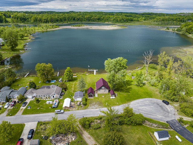 3050 Thorpe Dr, Delton, MI 49046 - drone / aerial view of a large body of water and a forest